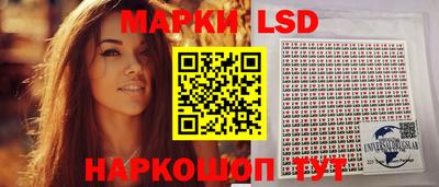 эйфоретик Аргун