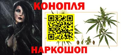 эйфоретик Аргун