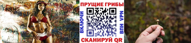 mega ТОР  цены наркотик  Апрелевка  Галлюциногенные грибы GOLDEN TEACHER 