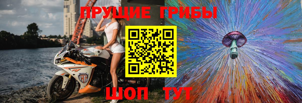 Галлюциногенные грибы Cubensis  Вход с VPN  Апрелевка 
