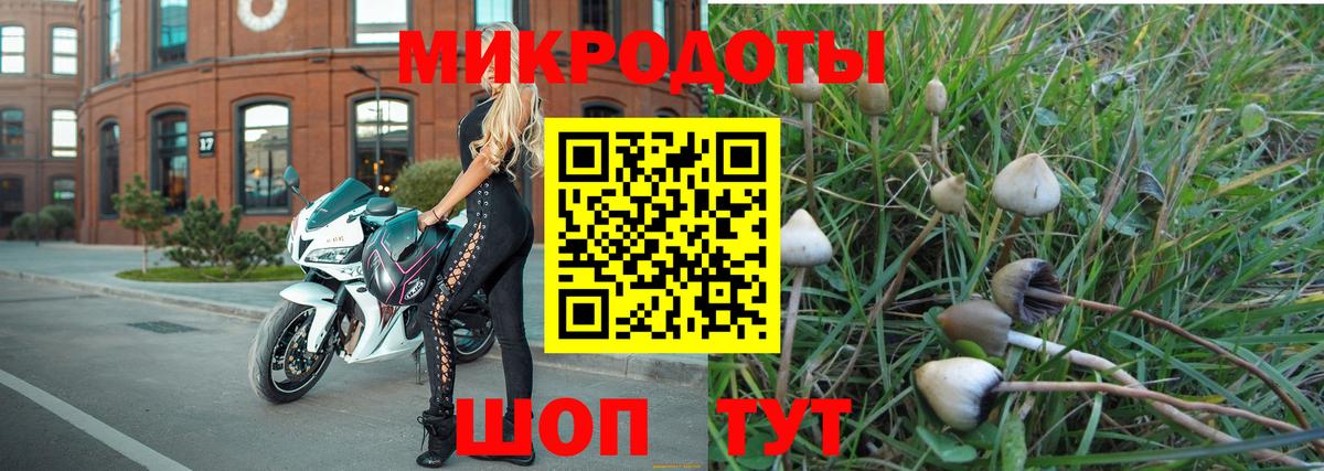 Галлюциногенные грибы Magic Shrooms  Апрелевка 